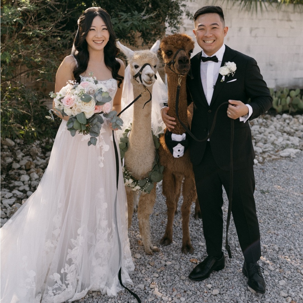 Meet your Posher, Genie